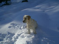 /album/galleria-fotografica/l070-copia-jpg/